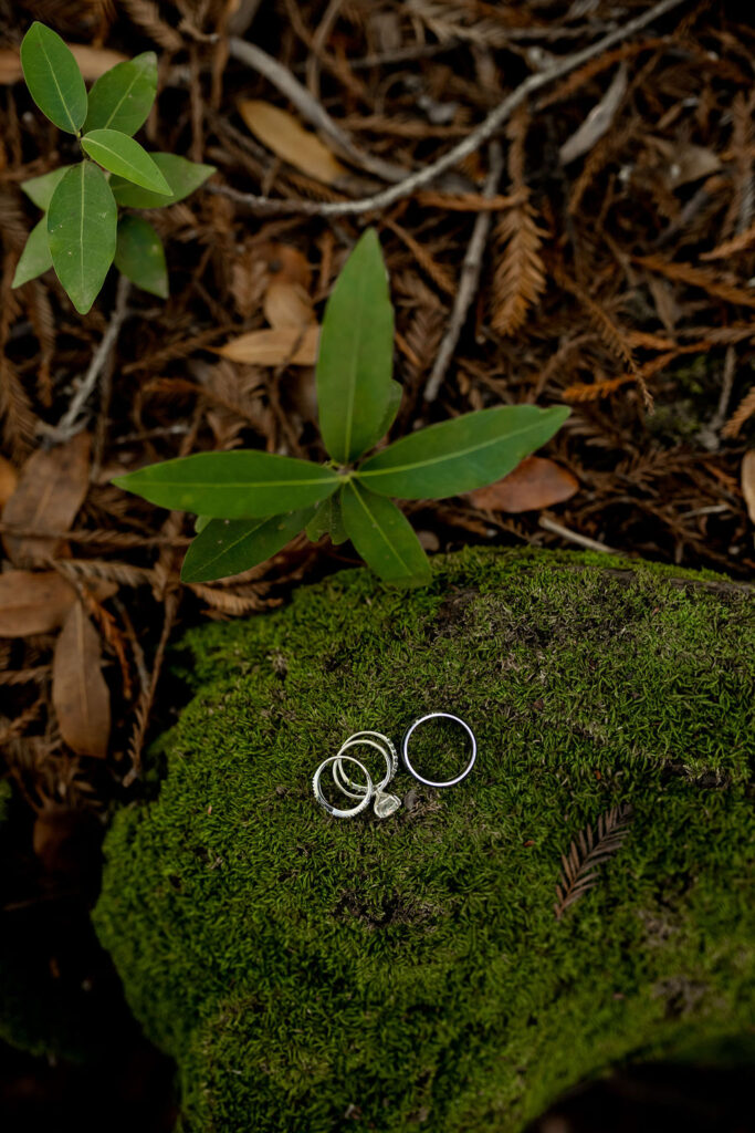 Big Sur elopement photographer captures wedding rings on mossy rock 